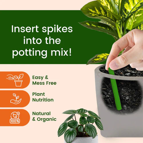 Magic Plant Grow Fertilizer Sticks - Buy 1 Get 1 Free